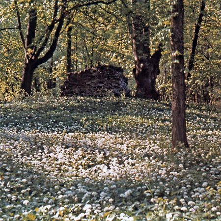 Kvarnvillan Lummelundsbruk VBY エクステリア 写真